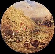 William Dexter Wheatfield with bird-s nest china oil painting reproduction